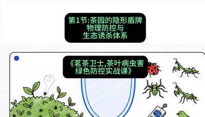 第01节：茶园的&ldquo;隐形盾牌&rdquo;&mdash;&mdash;物理防控与生态诱杀体系，课程：《茗茶卫士&mdash;&mdash;茶叶病虫害绿色防控实战课》#识农AI