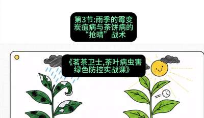 第03节：雨季的霉变&mdash;&mdash;炭疽病与茶饼病的&ldquo;抢晴&rdquo;战术，课程：《茗茶卫士&mdash;&mdash;茶叶病虫害绿色防控实战课》#识农AI