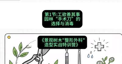第01节：工欲善其事&mdash;&mdash;园林&ldquo;手术刀&rdquo;的选择与消毒，课程：《景观树木&ldquo;整形外科&rdquo;造型实战特训营》#识农AI