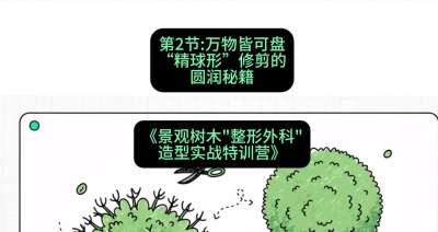第02节：万物皆可盘&mdash;&mdash;&ldquo;精球形&rdquo;修剪的圆润秘籍，课程：《景观树木&ldquo;整形外科&rdquo;造型实战特训营》#识农AI