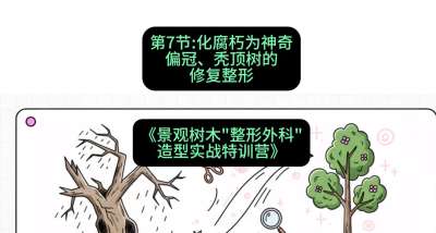 第07节：化腐朽为神奇&mdash;&mdash;偏冠、秃顶树的修复整形，课程：《景观树木&ldquo;整形外科&rdquo;造型实战特训营》#识农AI