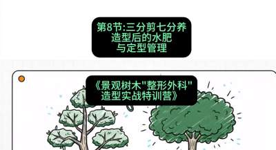 第08节：三分剪七分养&mdash;&mdash;造型后的水肥与定型管理，课程：《景观树木&ldquo;整形外科&rdquo;造型实战特训营》#识农AI