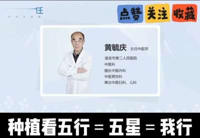 中药材淫羊藿怎么种？听专家一次讲明白！不挑地块好管理，耐寒耐旱省心省力，新手也能轻松上手，药用价值高、市场需求稳，妥妥的增收好品种～ 从生长习性到采收要点，干货满满无废话，种植疑问直接问，一对一答疑解