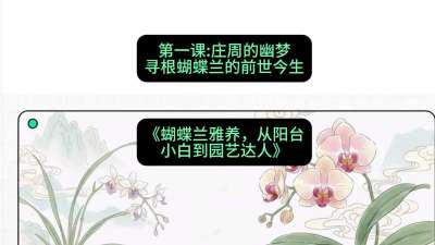第一节：庄周的幽梦：寻根蝴蝶兰的前世今生，课程：《蝴蝶兰雅养六讲：从阳台小白到园艺达人》#识农AI
