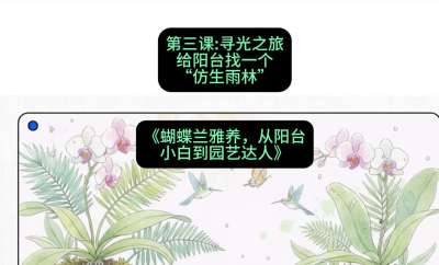 第三节：寻光之旅：给阳台找一个&ldquo;仿生雨林&rdquo;，课程：《蝴蝶兰雅养六讲：从阳台小白到园艺达人》#识农AI