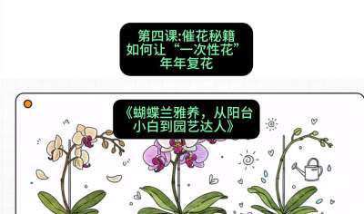 第四节：催花秘籍：如何让&ldquo;一次性花&rdquo;年年复花，课程：《蝴蝶兰雅养六讲：从阳台小白到园艺达人》#识农AI
