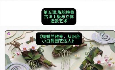 第五节：脱胎换骨：古法上板与立体造景艺术，课程：《蝴蝶兰雅养六讲：从阳台小白到园艺达人》#识农AI