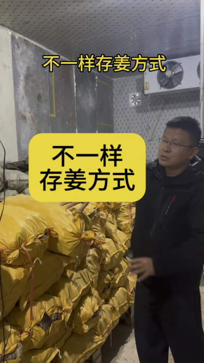 不一样存姜方式
