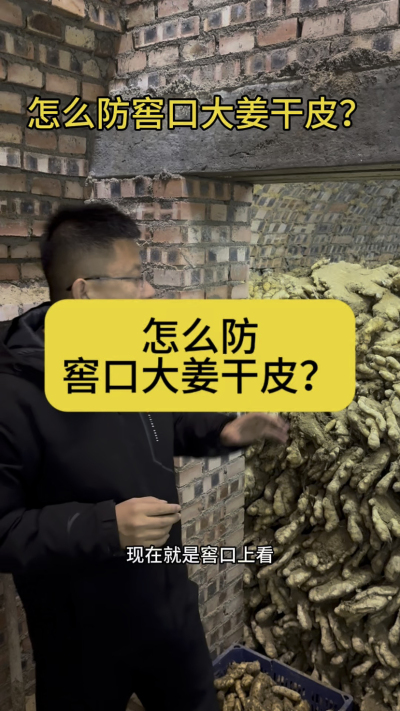 怎么防窖口大姜干皮？