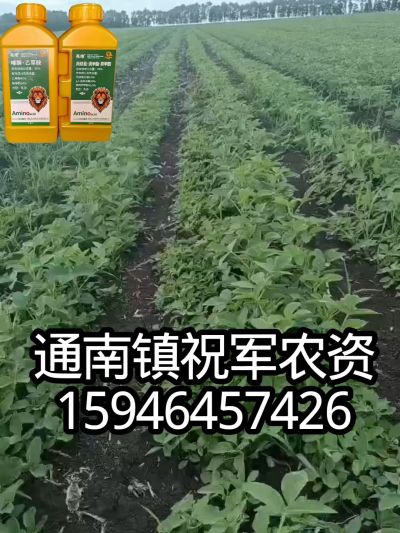 大豆苗前封闭，可封红根苋菜，灰菜，兰花菜，野豆子，捞豆秧等恶性杂草，封杀兼备的高端产品。