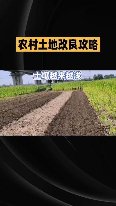 1. 先搞懂：你到底要改良哪块地、种什么
 
- 土土土在哪里？
就是你自家农田、菜地、果园，哪块地想种庄稼，就测哪块地的土。
​
- 有水没有水？
有水能浇：改良更省事，施肥、调酸碱都好操作。
没水