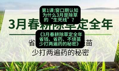 第1节：窗口期认知，为什么3月是除草的&ldquo;生死线&rdquo;？，课程：《3月春耕除草定全年：省钱、省药、不烧苗、少打两遍药的秘密》